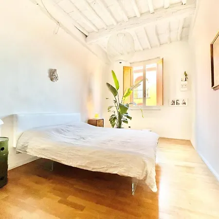 La Casa Del Pesce - Within The Historical Walls Of Apartment *