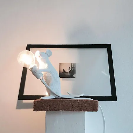 La Casa Del Pesce - Within The Historical Walls Of Apartment